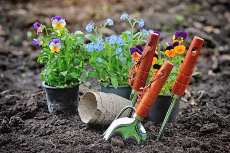 Outils de jardinage et fleurs de printemps dans le jardin