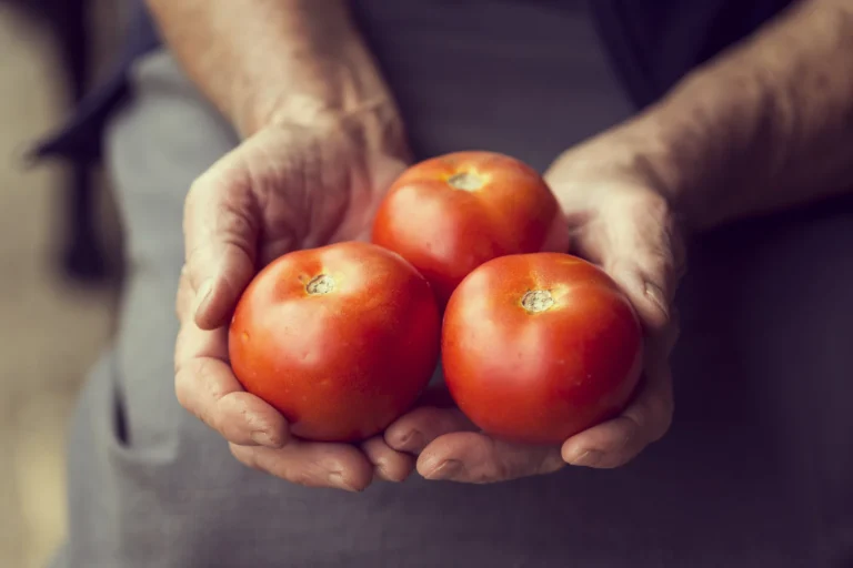 Plantez des tomates.