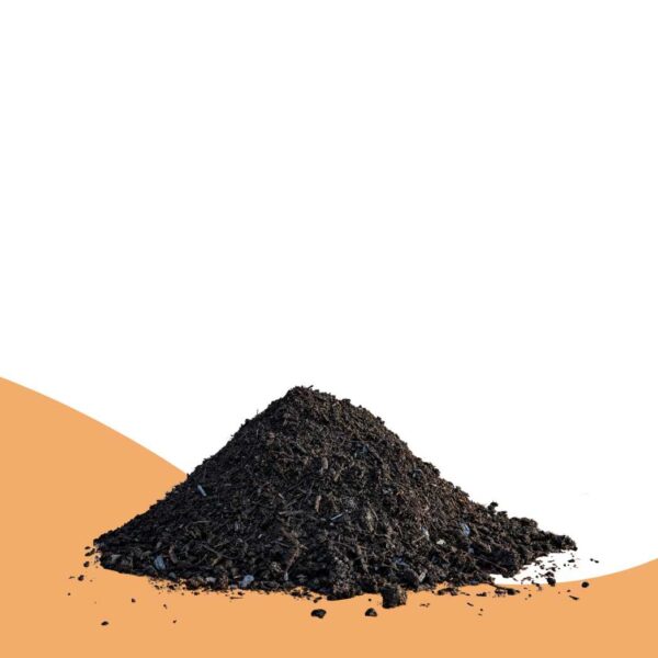 Amélioration du sol avec du charbon végétal