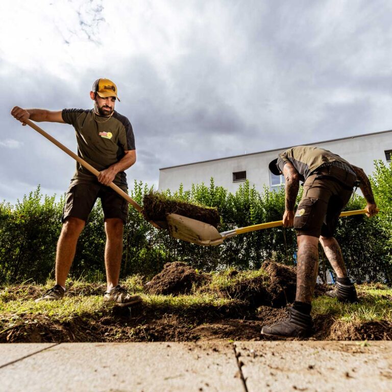 Turf-Soil-Renovation-Terre-Suisse-2024-121