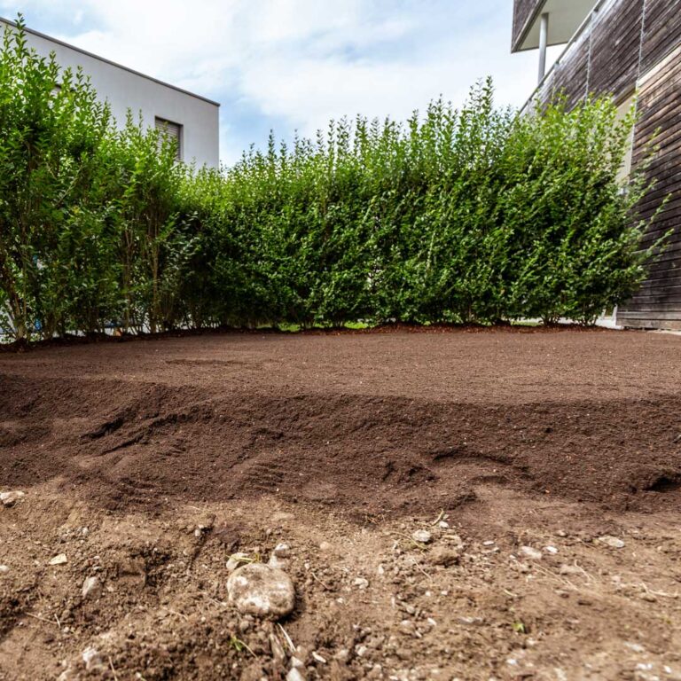 Lawn Soil-Renovation-Terre-Suisse-2024-233